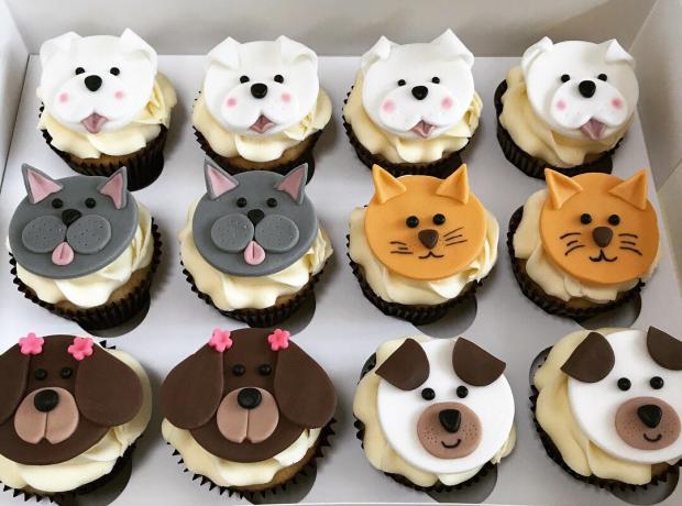 Cockapoo cupcakes clearance